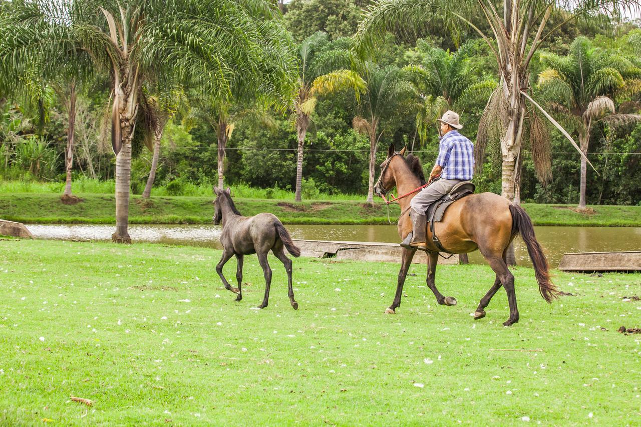 Hotel Fazenda Igarapes Buitenkant foto