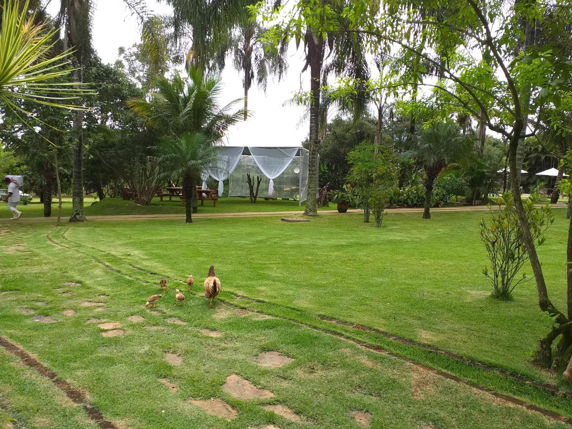 Hotel Fazenda Igarapes Buitenkant foto